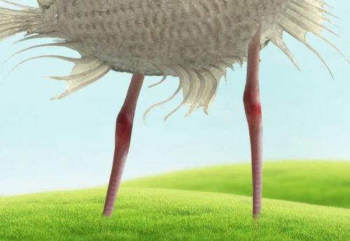 آموزش طراحی موجود خیالی در فتوشاپ